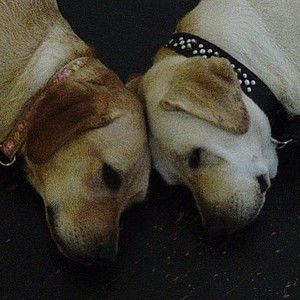 Meet your Posher, Kristin